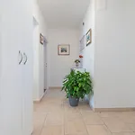 Matteo -free Parking * سبليت